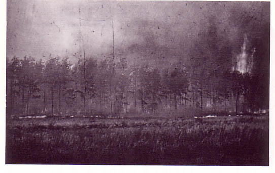 1975: Waldbrandkatastrophe in Niedersachsen