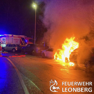 Freiwillige Feuerwehr Leonberg