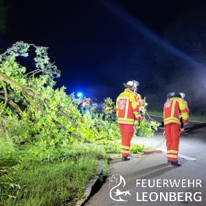Freiwillige Feuerwehr Leonberg