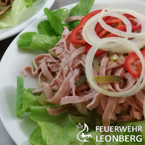Freiwillige Feuerwehr Leonberg
